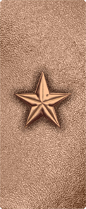 Star Bronze-Bronze